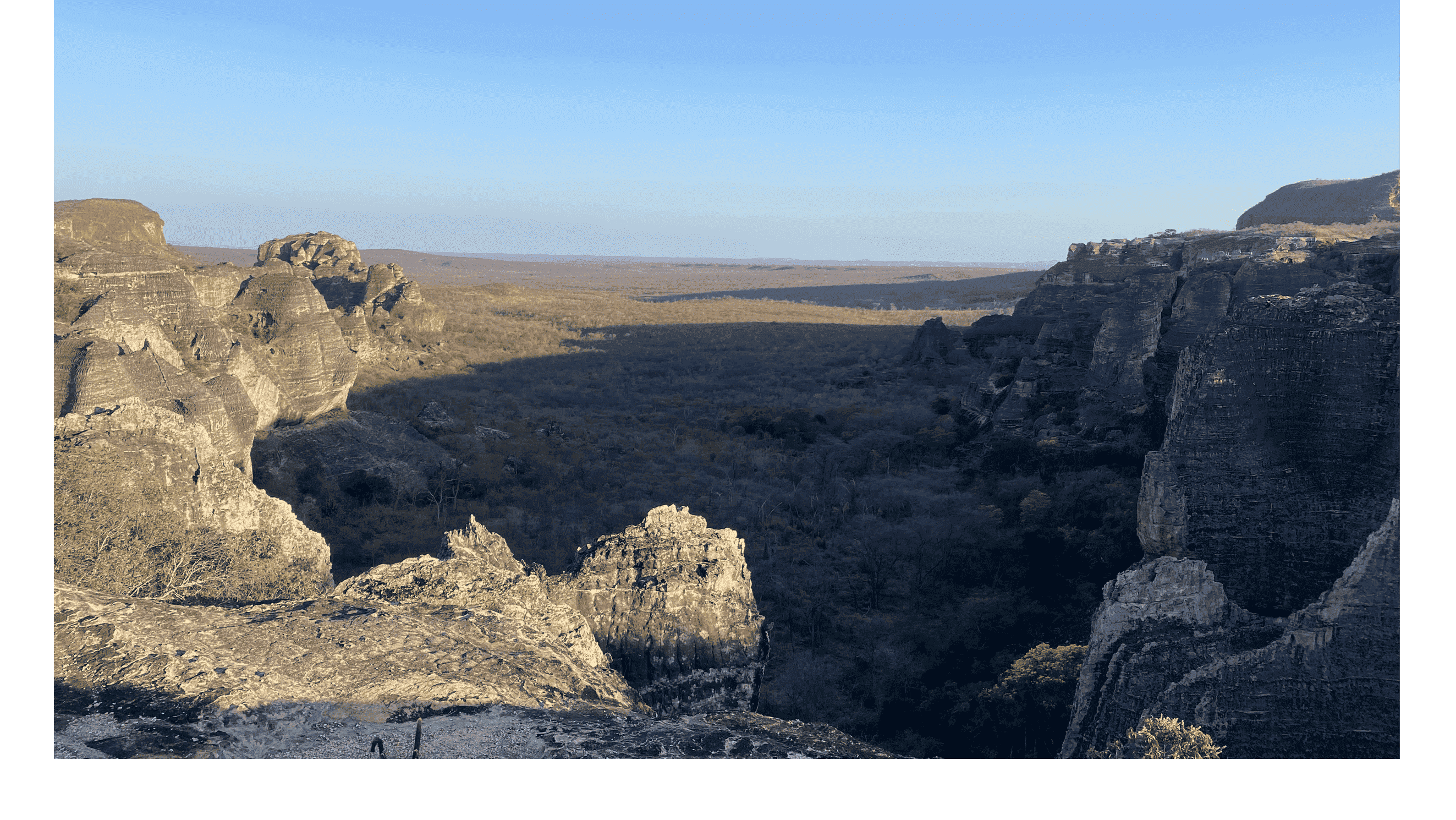 Coleção Caatinga