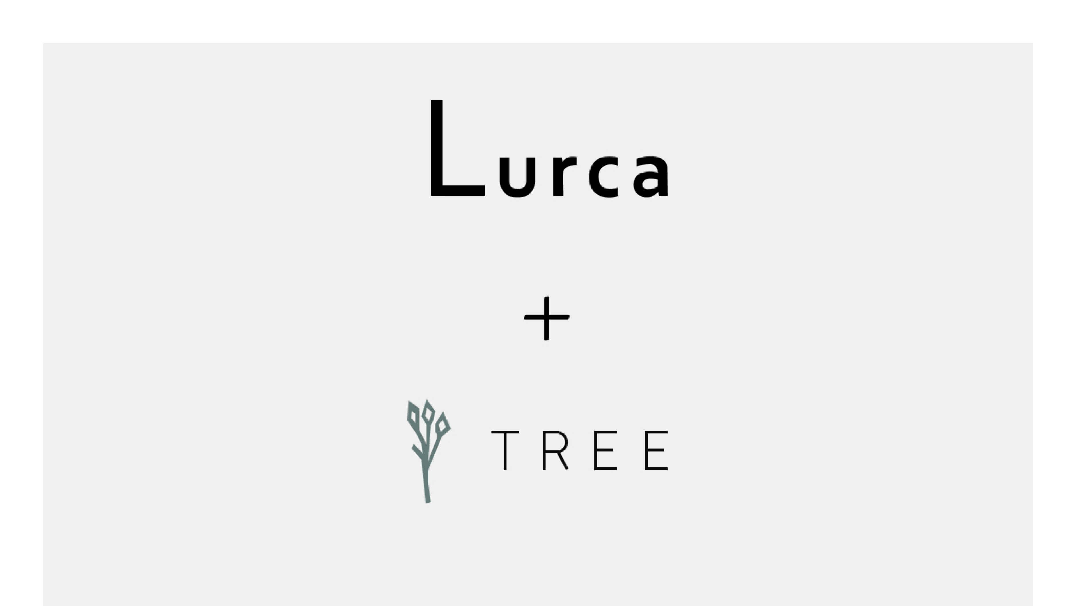 Lurca + Tree Arquitetura