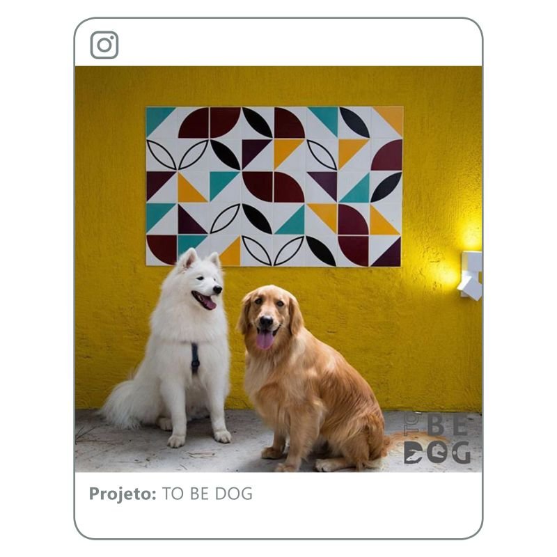 Azulejos Coloridos Kit Terra